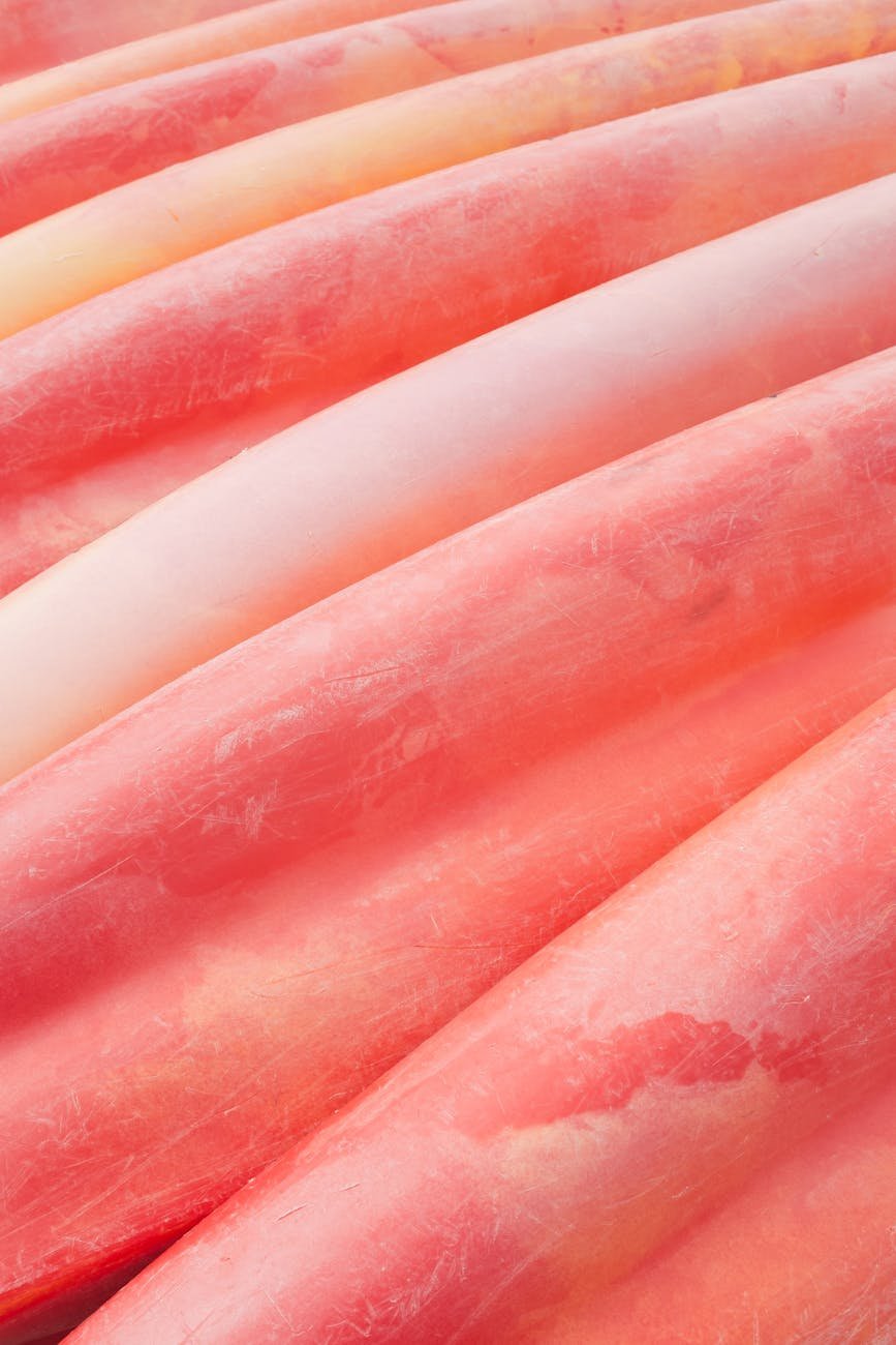 row of scuffed plastic kayaks